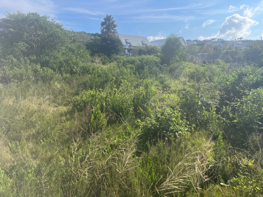 Commercial Property for Sale in Whale Rock Western Cape